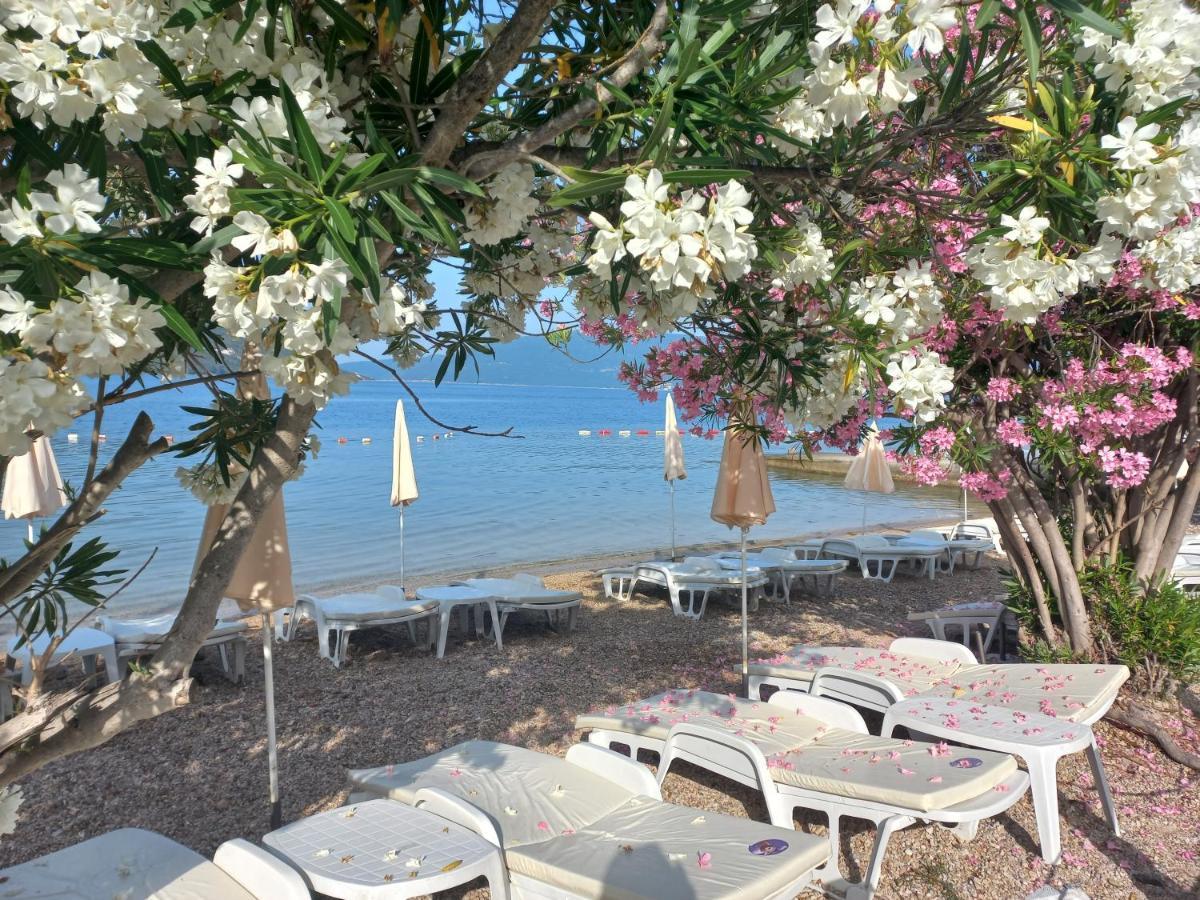 Villa Angelina كومبور المظهر الخارجي الصورة